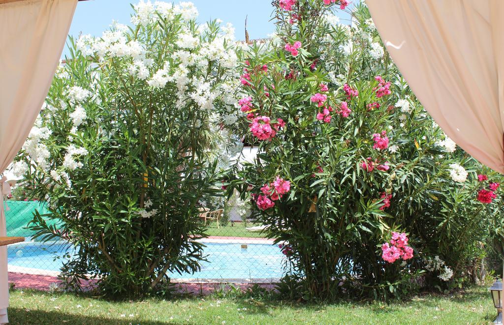 Almazara Hotel โลฮา ภายนอก รูปภาพ